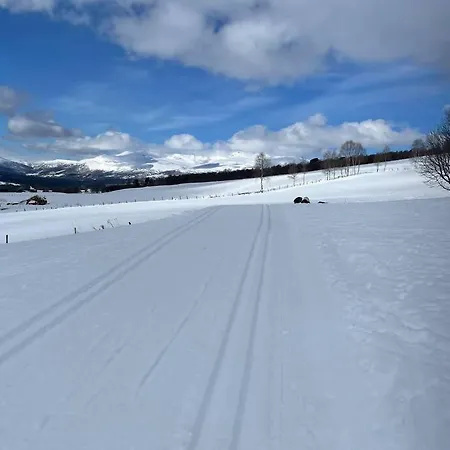 Leilighet Fin Fritidsbolig Naert Alpinanlegg Og Skiloyper