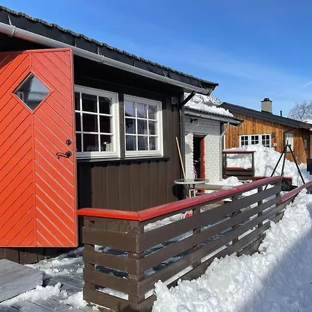 Fin Fritidsbolig Naert Alpinanlegg Og Skiloyper *
