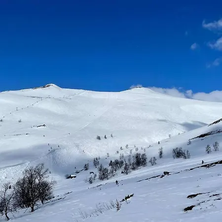 Fin Fritidsbolig Naert Alpinanlegg Og Skiloyper